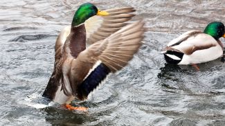 Фото из архива