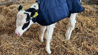 Фото "Гродноэнерго"