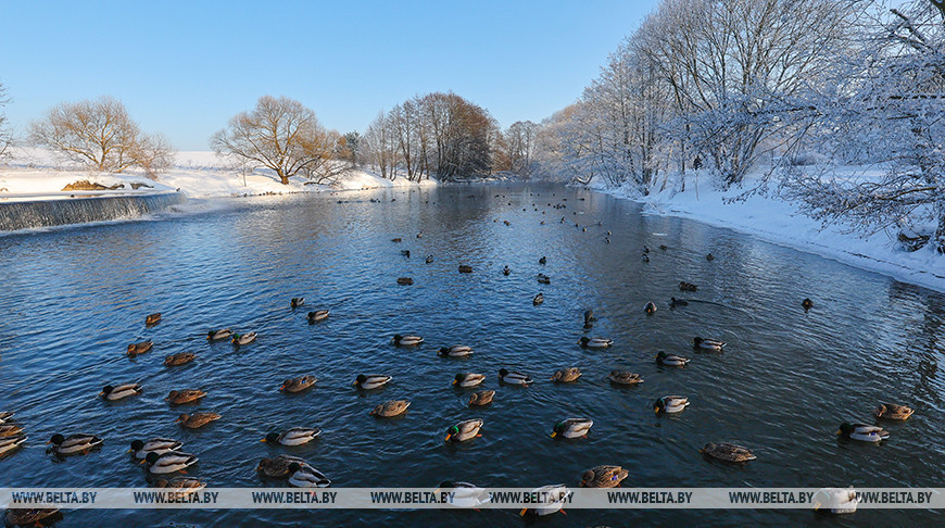 Фото из архива