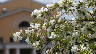 Фото из архива