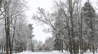 Фото из архива