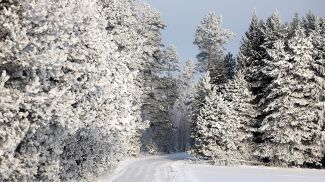 Фото из архива