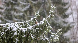 Фото из архива