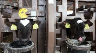 Фото из архива