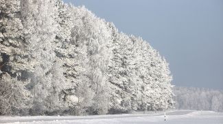 Фото из архива