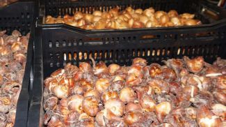 Фото из архива ГТК