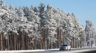 Фото из архива