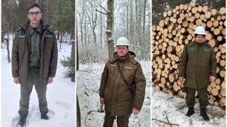 Фото пресс-службы Министерства лесного хозяйства