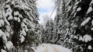 Фото из архива