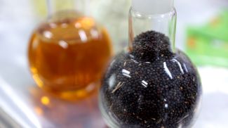 Фото из архива