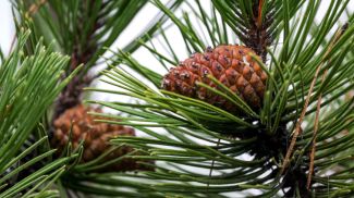 Фото из архива