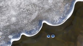 Фото из архива