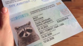 Фото парка животных в Барановичах