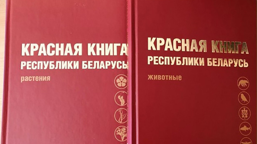 Фото Минприроды