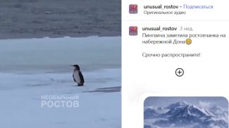 Фото purmuseum.ru