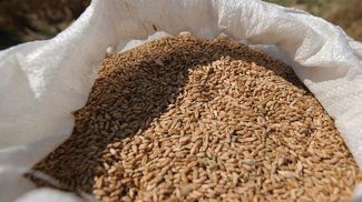 Фото из архива