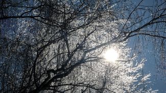 Фото из архива