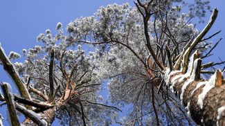 Фото из архива