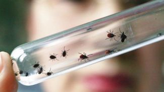 Фото из архива