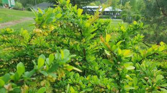 Фото из архива