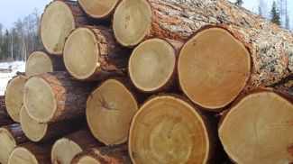 Фото Минлесхоза