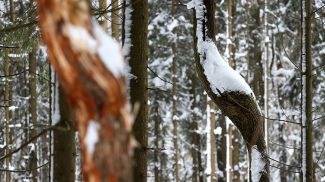 Фото из архива