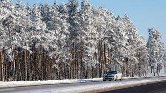 Фото из архива