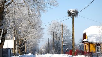 Фото из архива