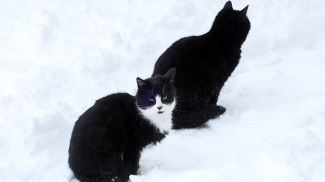 Фото из архива