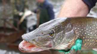 Фото из архива
