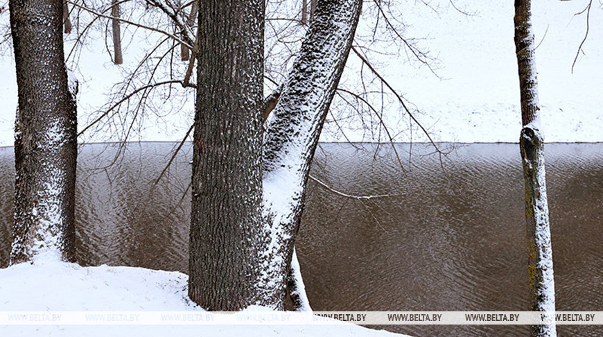 Фото из архива