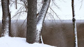 Фото из архива