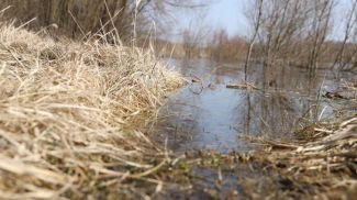 Фото из архива