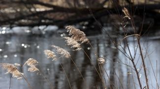 Фото из архива