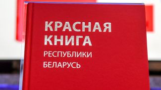 Фото из архива