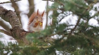 Фото из архива