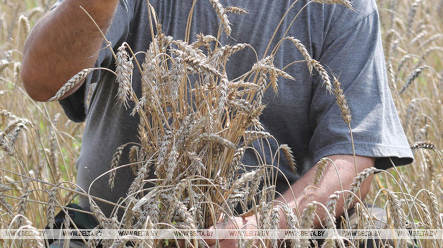 Фото из архива