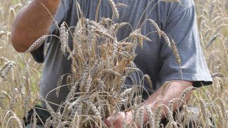 Фото из архива