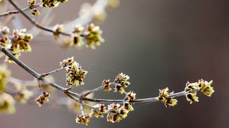 Фото из архива