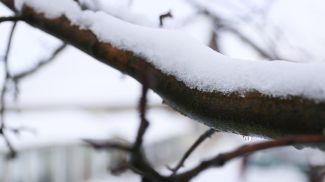 Фото из архива