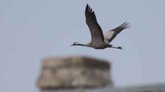 Фото из архива