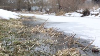 Фото из архива