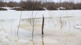 Фото из архива