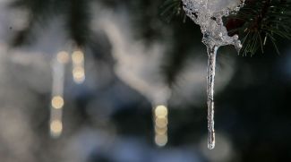 Фото из архива