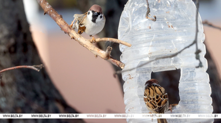 Фото из архива