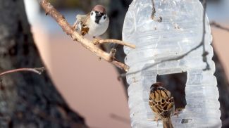 Фото из архива