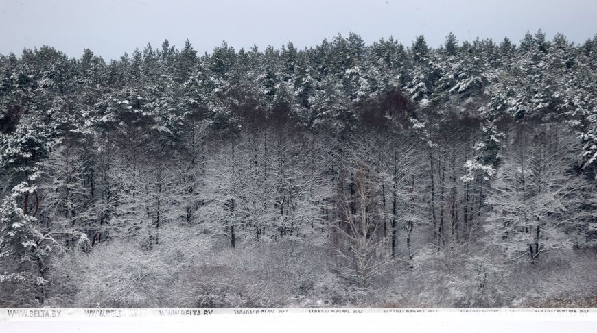 Фото из архива