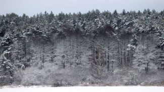 Фото из архива