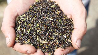 Фото из архива