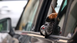 Фото из архива